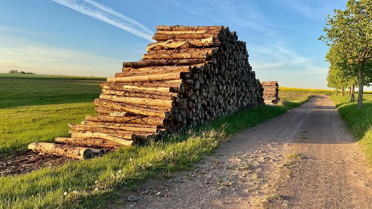 Long stack of cut logs beside a dirt road at the edge of a field