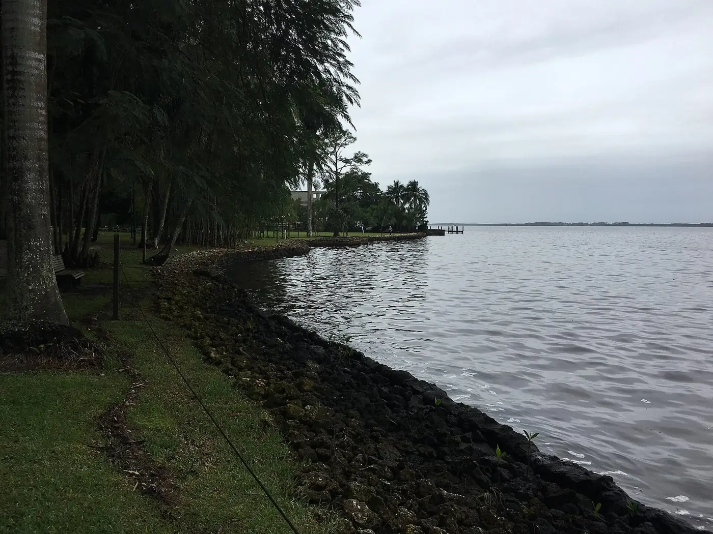 Wide river with a grassy, wooded bank under a gray sky